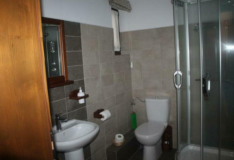 膳宿费 Arnica Montana