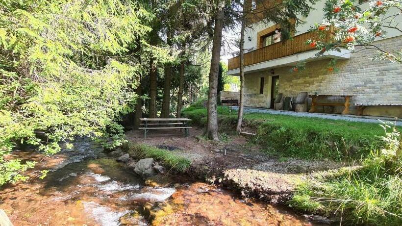 膳宿费 Arnica Montana