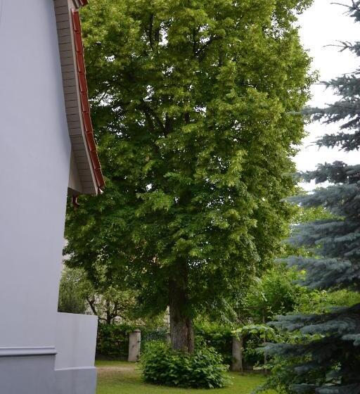 پانسیون Liepa