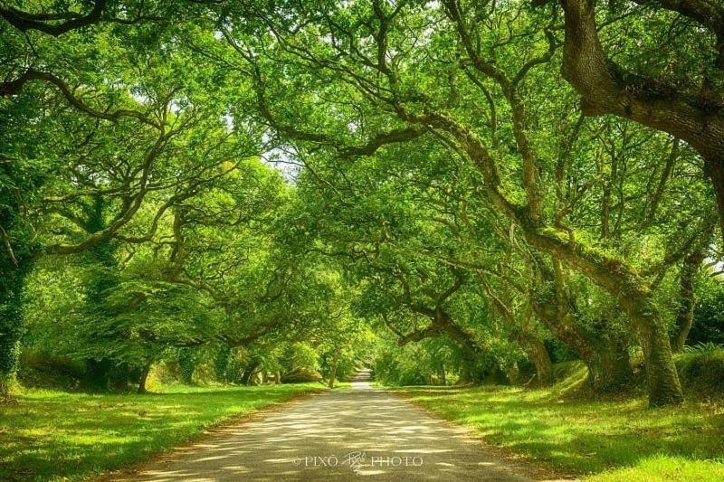 צימר Chambres D Hotes Chez Annie