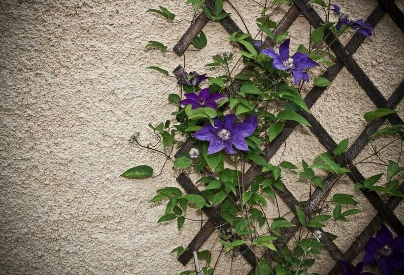 Bed and Breakfast Domaine Le Chec