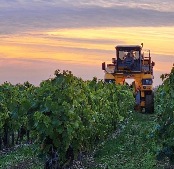 مبيت وإفطار Le Bonheur  Suite Cognac