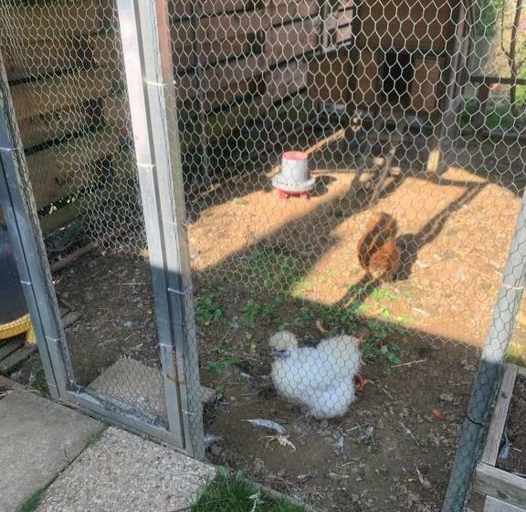 住宿加早餐 Les Terrasses De Rochetaillée