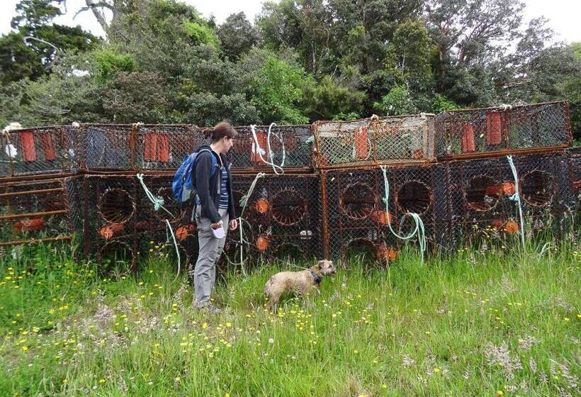 Bed and Breakfast Sails Ashore Lodge