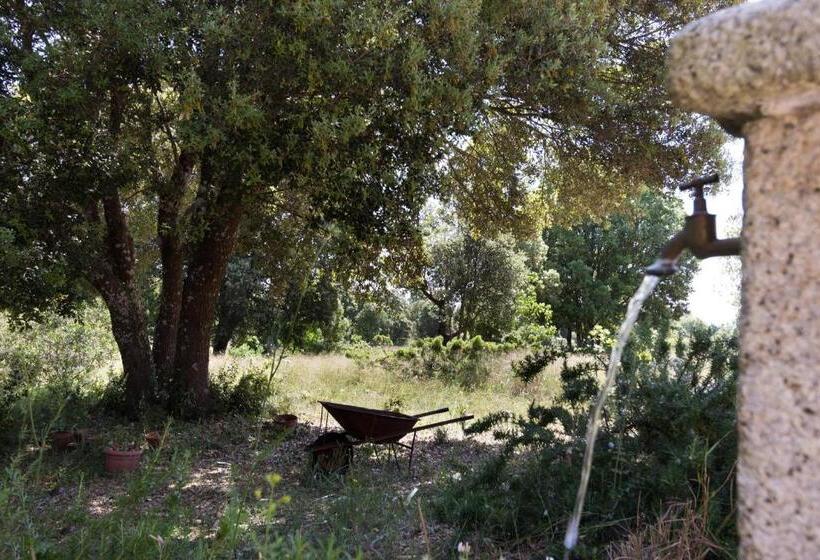 مبيت وإفطار Su Pitiolu   Casa Vacanze