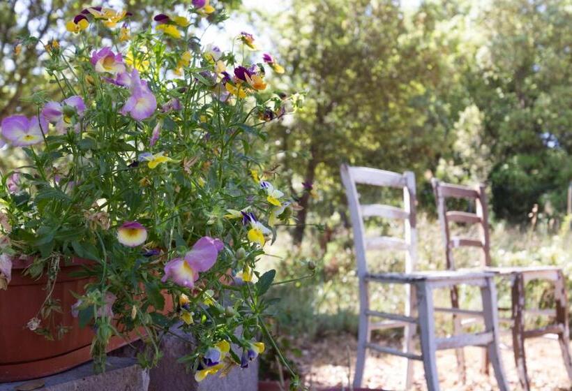 مبيت وإفطار Su Pitiolu   Casa Vacanze