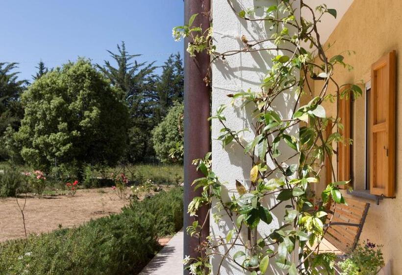 مبيت وإفطار Su Pitiolu   Casa Vacanze