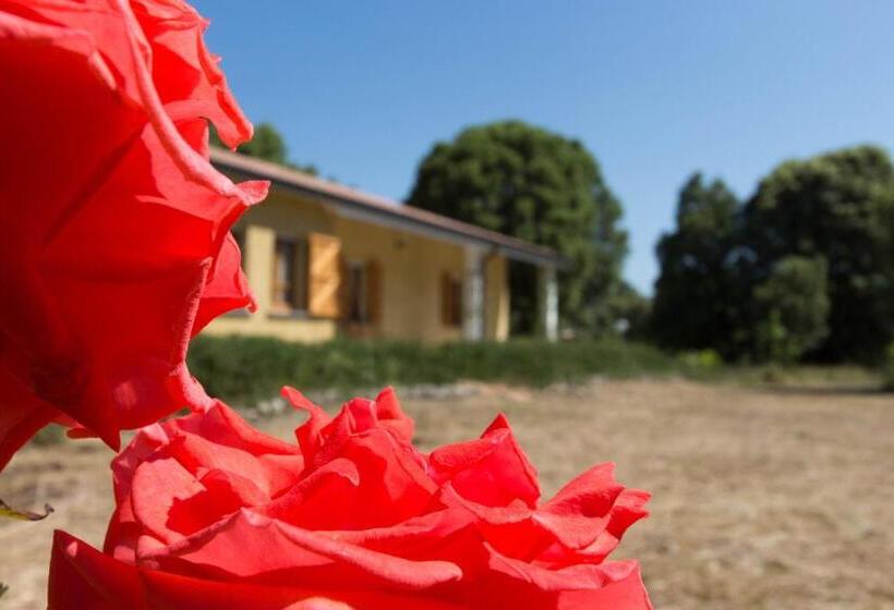 مبيت وإفطار Su Pitiolu   Casa Vacanze