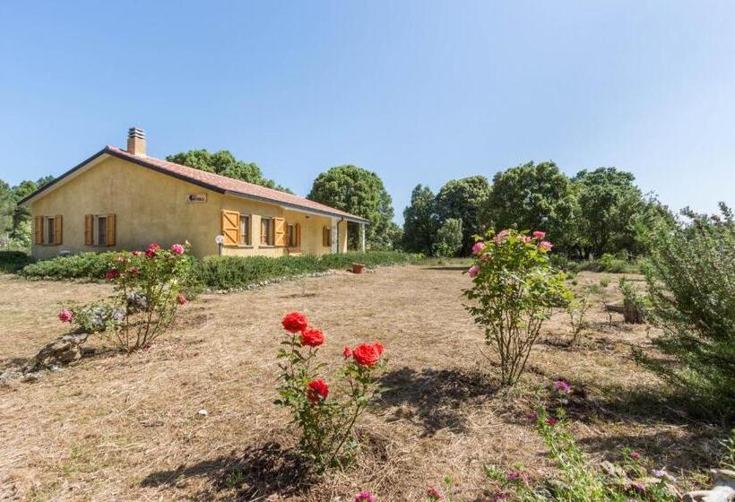 مبيت وإفطار Su Pitiolu   Casa Vacanze