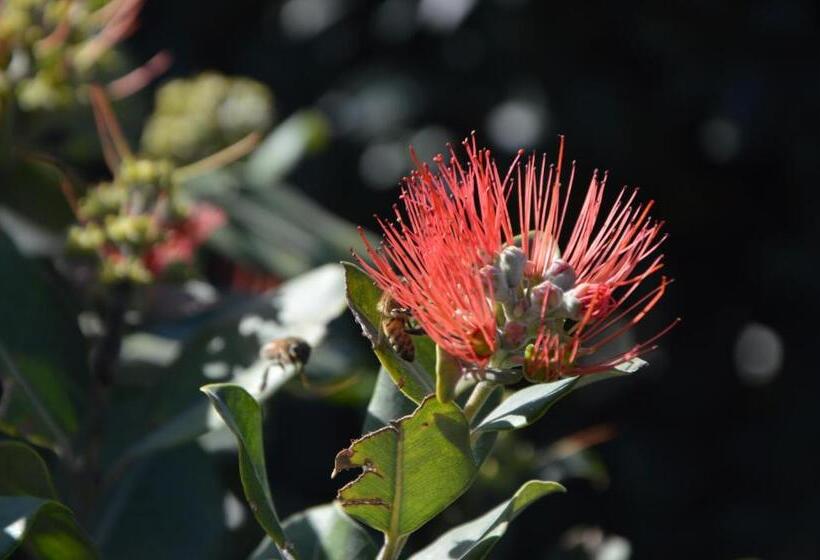 Bed and Breakfast Zimmer Monte