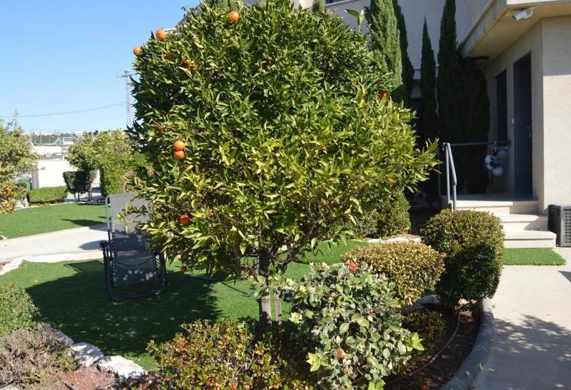 Bed and Breakfast Zimmer Monte