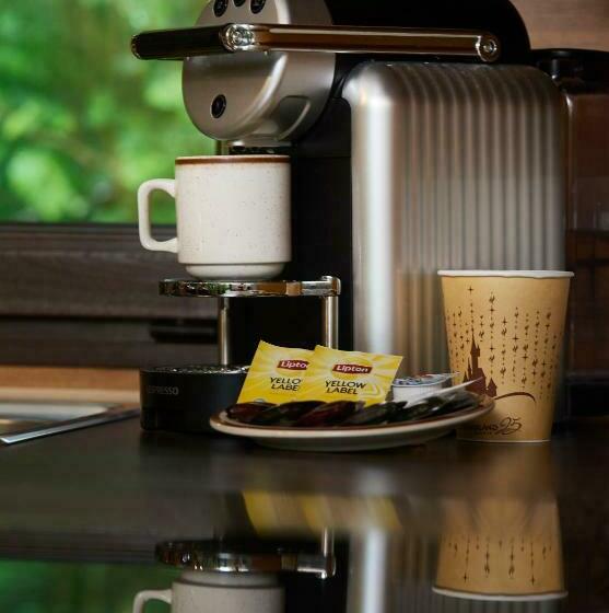 Disney Davy Crockett Ranch