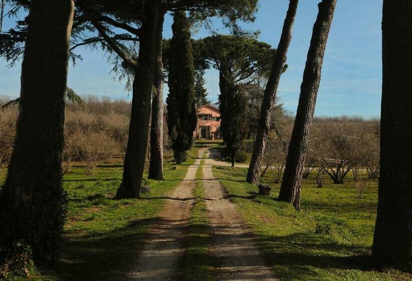 בית מלון כפרי Locazione Turistica Ai Due Cedri