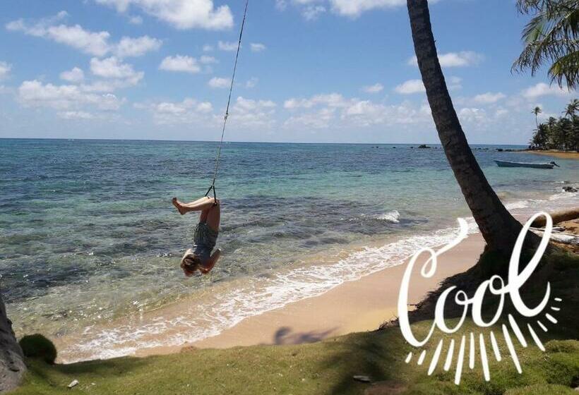 בית מלון כפרי Derek S Place Eco Lodge