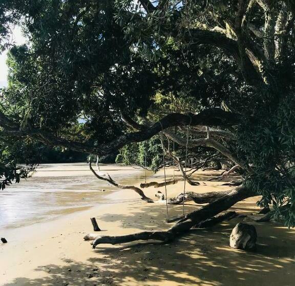 מוטל San Marino Motor Lodge Absolute Beachfront