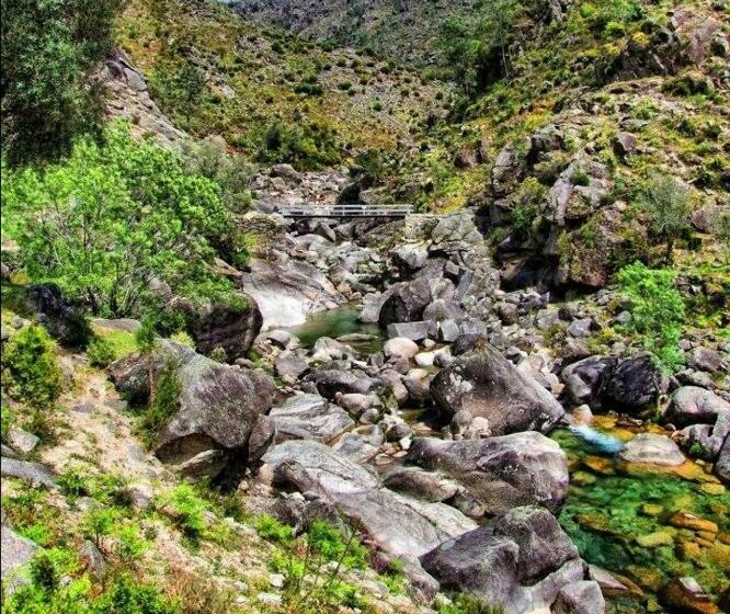 بنسيون A Cobiça Do Mundo