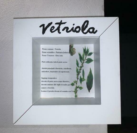 פנסיון Antica Potecarìa