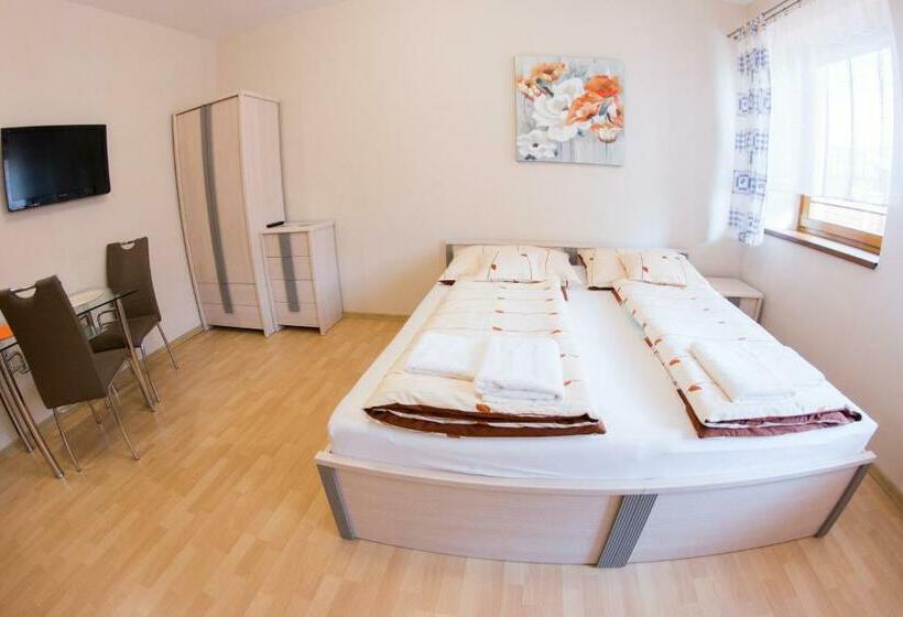 بنسيون Guest House Tri Koruny