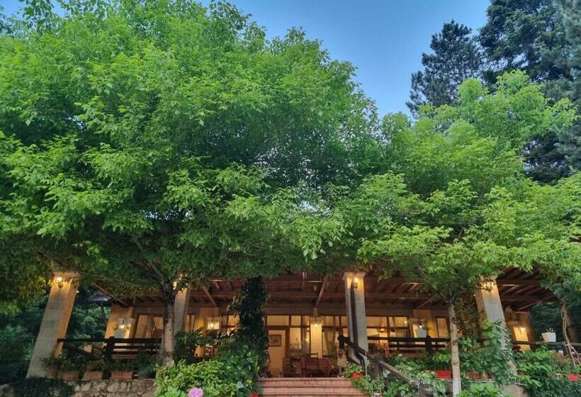 ペンション Guesthouse Alberti Llogara