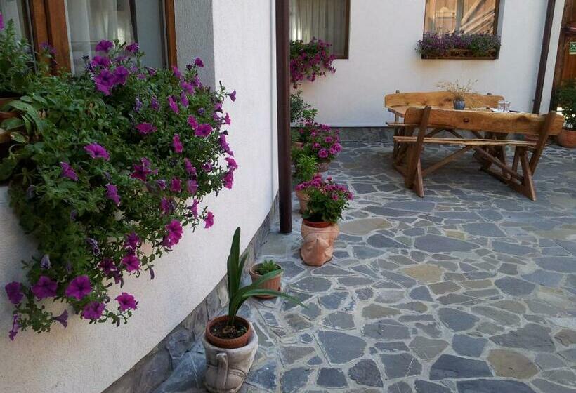 פנסיון Hanul Cu Noroc