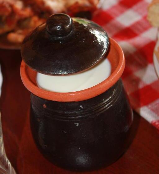 پانسیون Stara Planina Vila Vesela Kuca