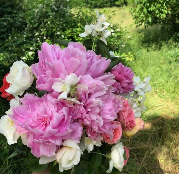 פנסיון Villa Nina