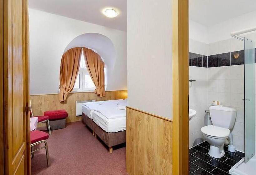 Пансион Wellness Penzión Rosnička