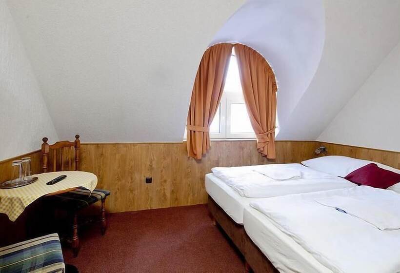 Пансион Wellness Penzión Rosnička