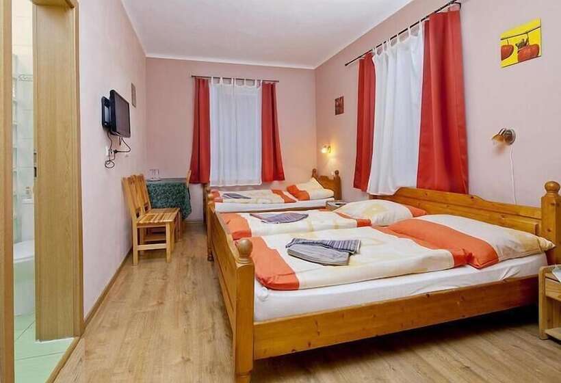 Пансион Wellness Penzión Rosnička