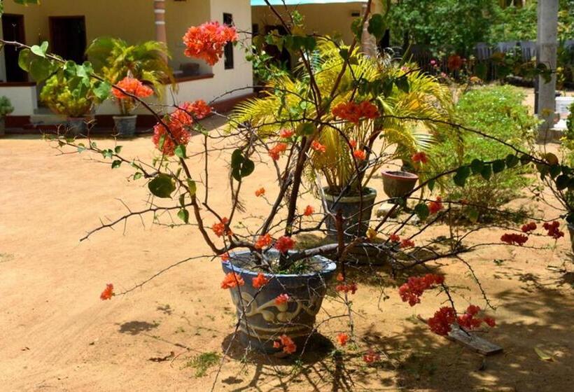 بنسيون Yaswi Guest House