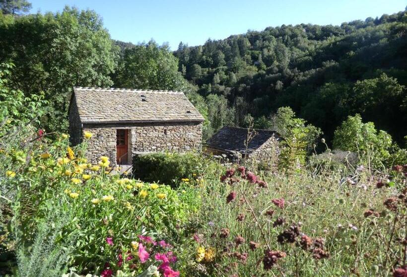 Transgardon B&b En Cévennes
