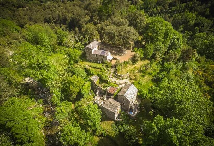 Transgardon B&b En Cévennes