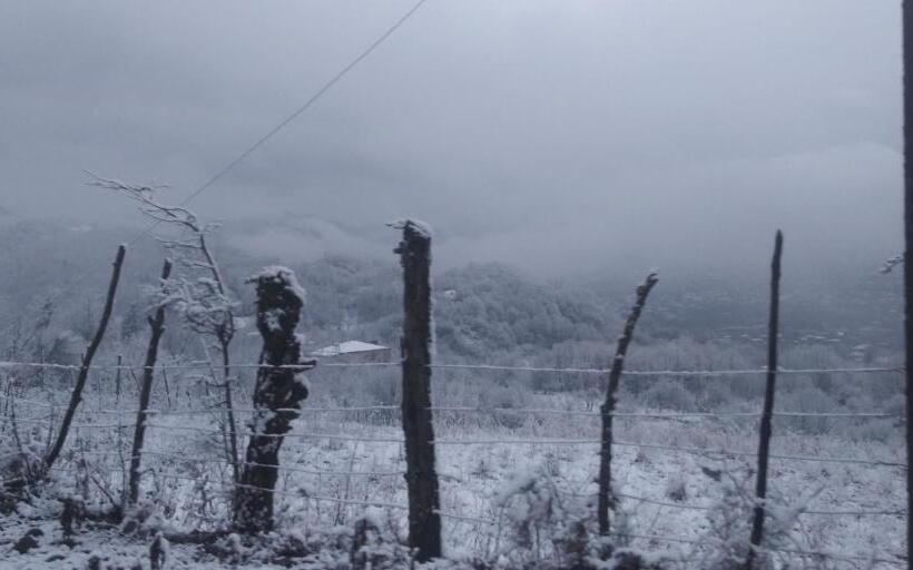 הוסטל Dimis Ferdobi