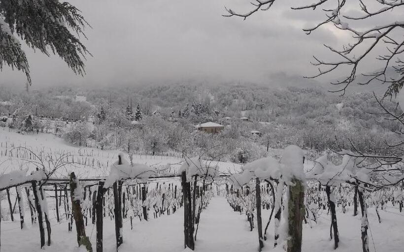 הוסטל Dimis Ferdobi