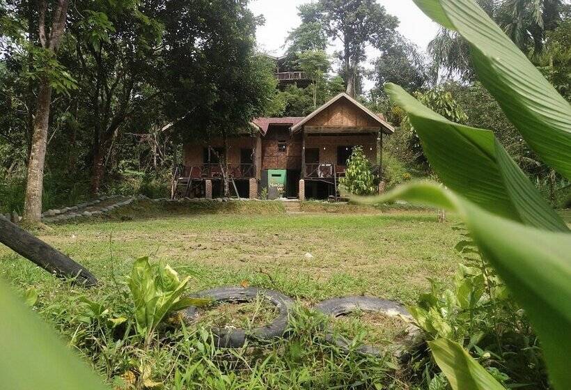 旅馆 Mountain View Cottages & Villa Tangkahan