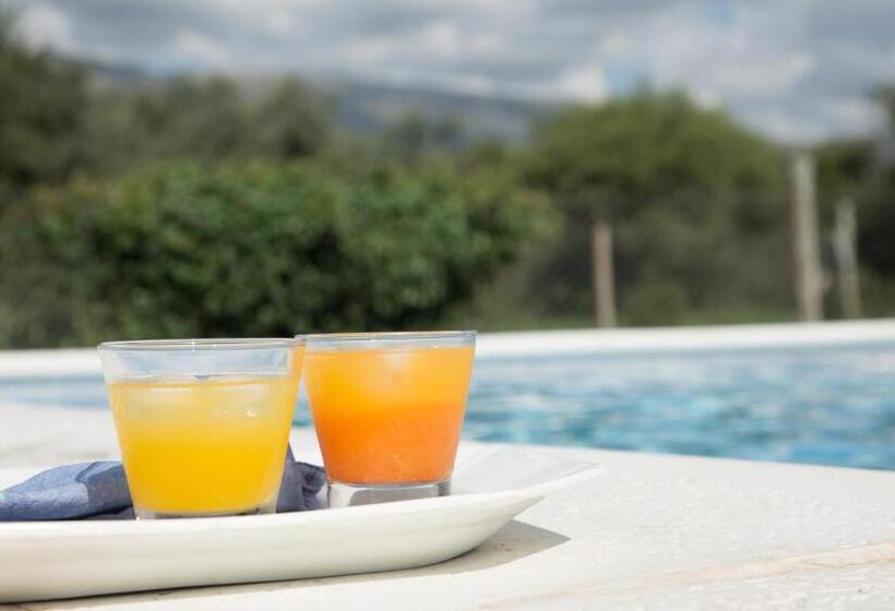 Общежитие Posada Del Manzano