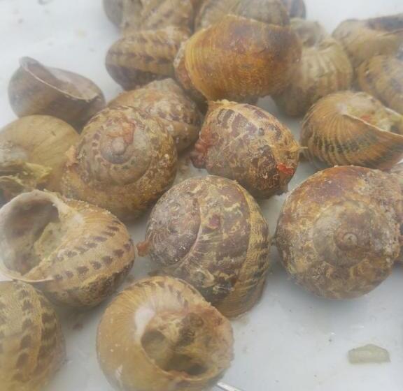 Bed and Breakfast Bed & Diner Les Terrasses De La Palme