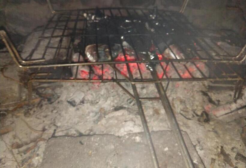 ベッドアンドブレックファースト Bed & Diner Les Terrasses De La Palme