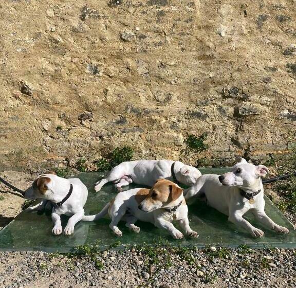 Bed and Breakfast Campora House