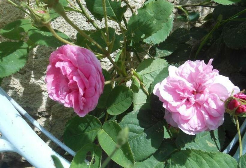 ベッドアンドブレックファースト Domaine De Sault