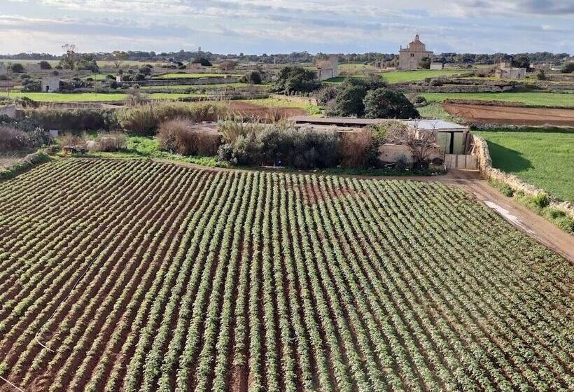 تختخواب و صبحانه Joseluce