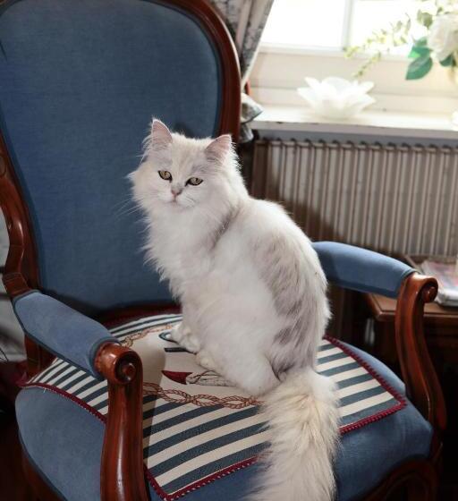 ベッドアンドブレックファースト L Armandière