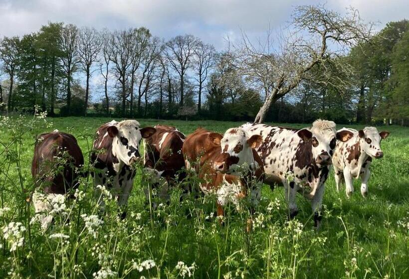 ベッドアンドブレックファースト L Armandière