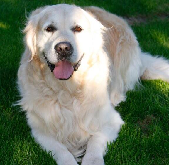 민박 L Armandière