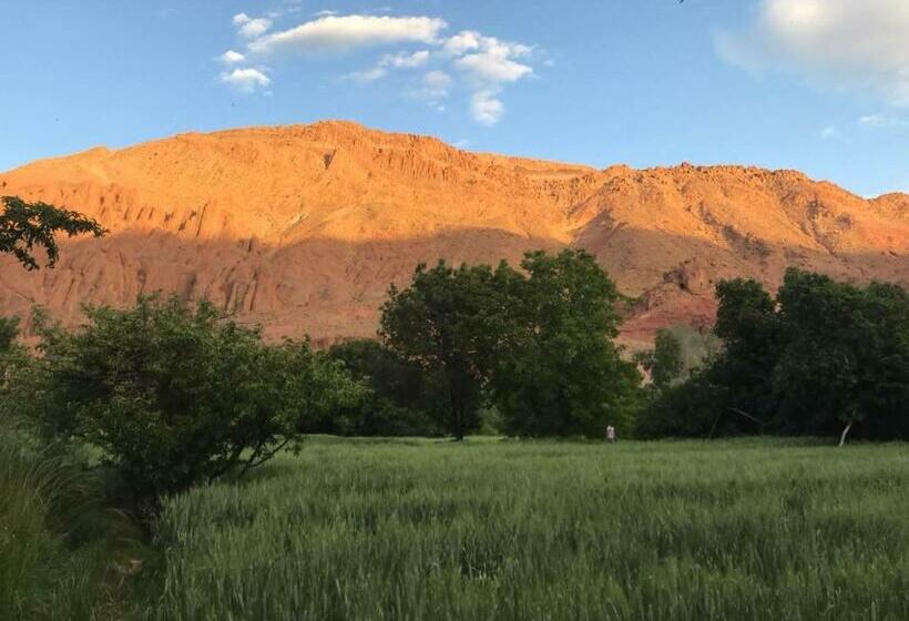 住宿加早餐  Maison D Hote Amazir