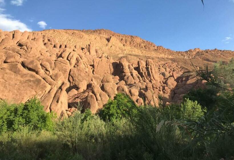 住宿加早餐  Maison D Hote Amazir