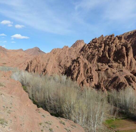 Bed and Breakfast Maison Isabel