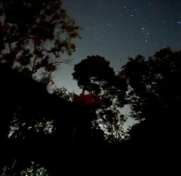 مبيت وإفطار South Lodge House