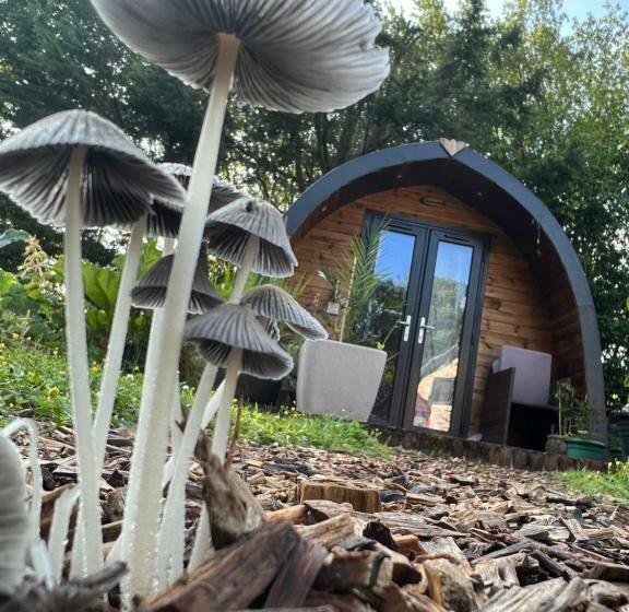 مبيت وإفطار South Lodge House