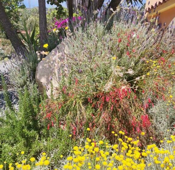 B&b Bentos Pula Di Lucarelli S